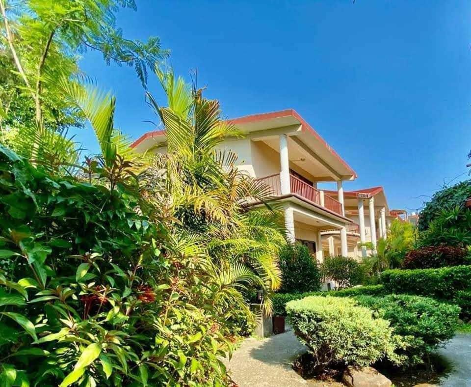Palette Alaya Resort, Corbett Nainital Εξωτερικό φωτογραφία