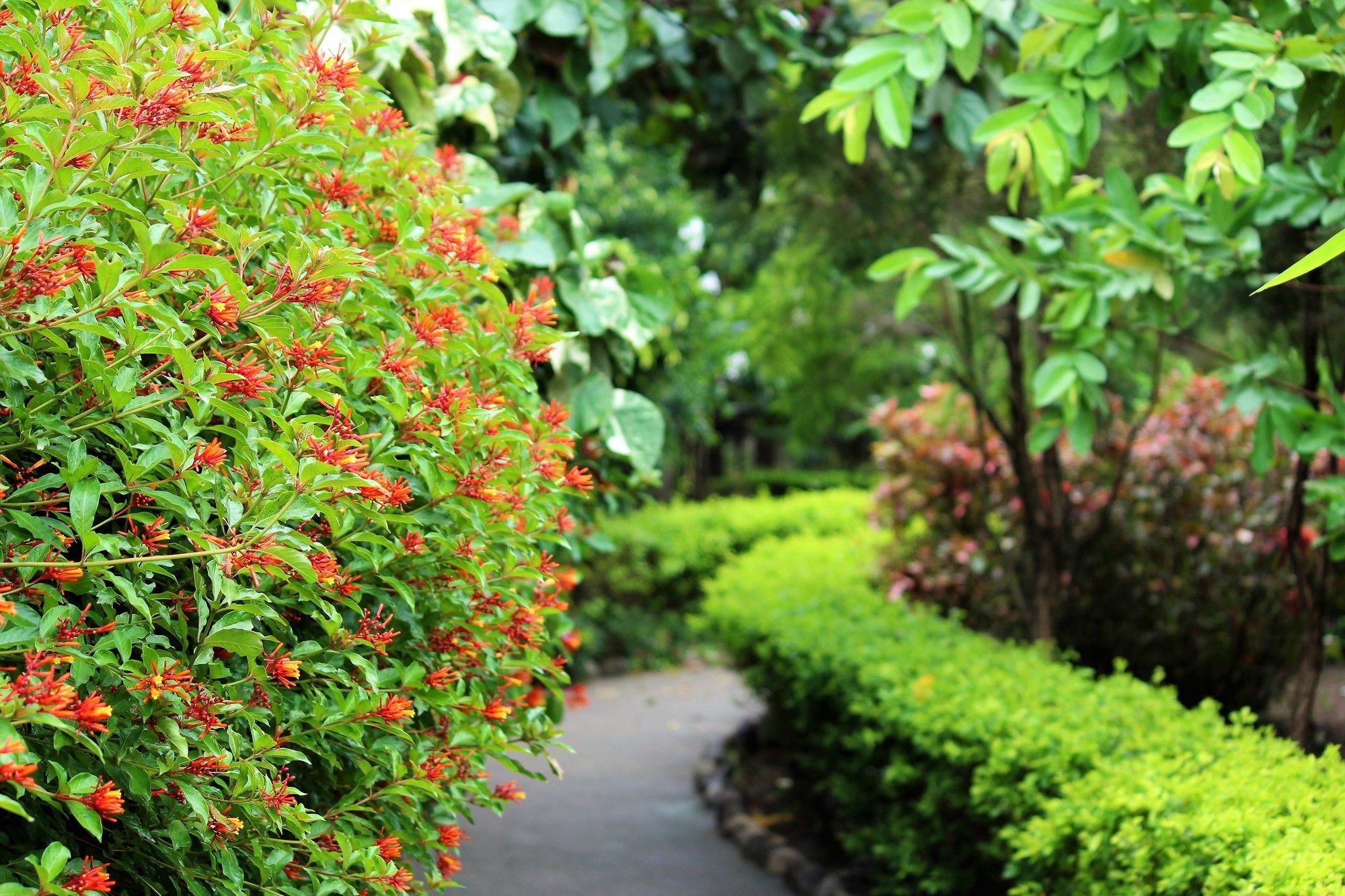Palette Alaya Resort, Corbett Nainital Εξωτερικό φωτογραφία
