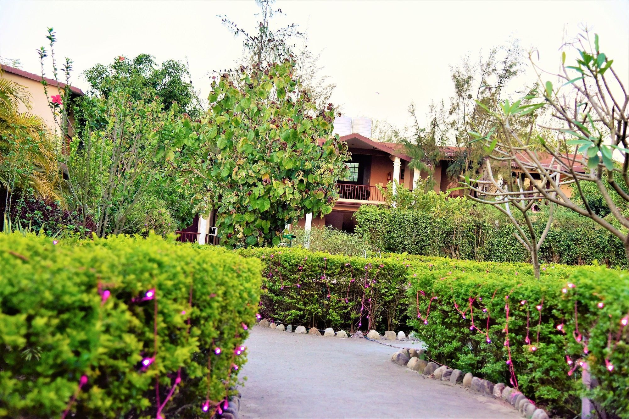 Palette Alaya Resort, Corbett Nainital Εξωτερικό φωτογραφία